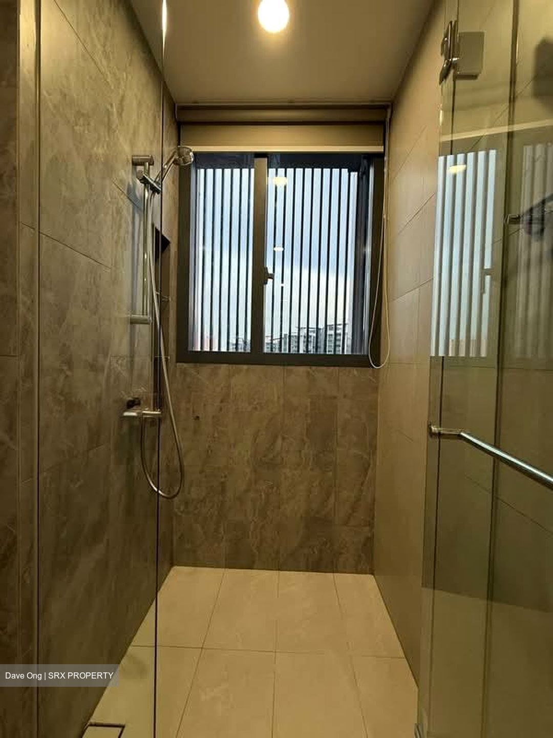 Parc Clematis (D5), Apartment #541136951